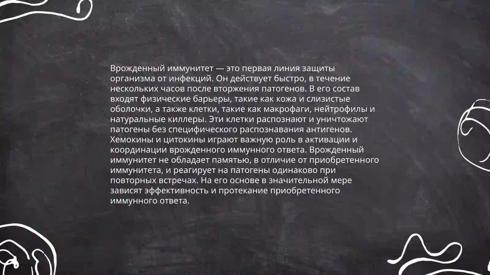 Иммунная система 4
