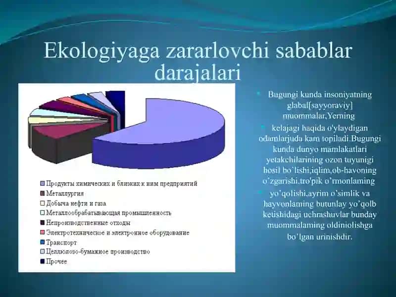 Ekologik muammolar. mustaqil ish 4