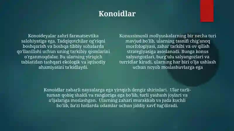 Mollyuskalar tipi haqida 4