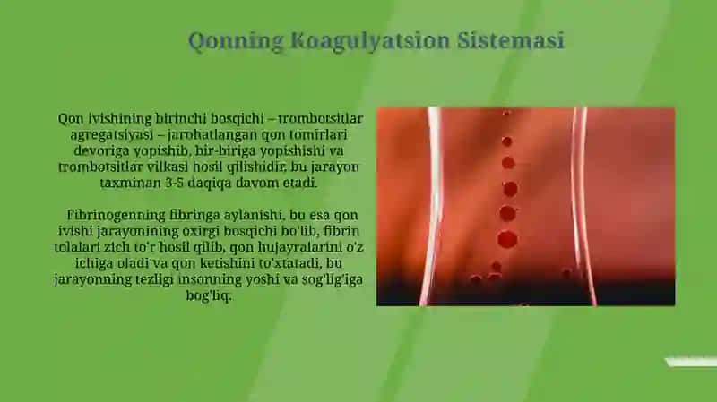 Biologik Suyuqliklar 4