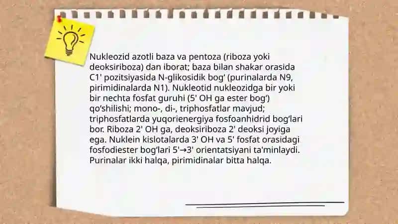 Aminokislotalar, nukleotidlar va ularning metabolizmi bilan bogʻliq molekulalar 4