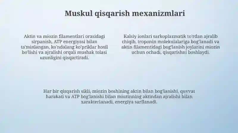 Mushaklarning ishlashi va biomekanikasi 4