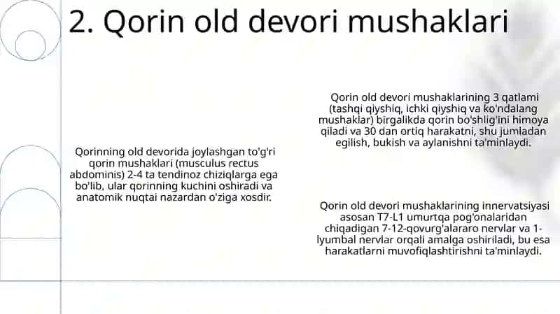 Qorin boshlig'i oldingi devori 4