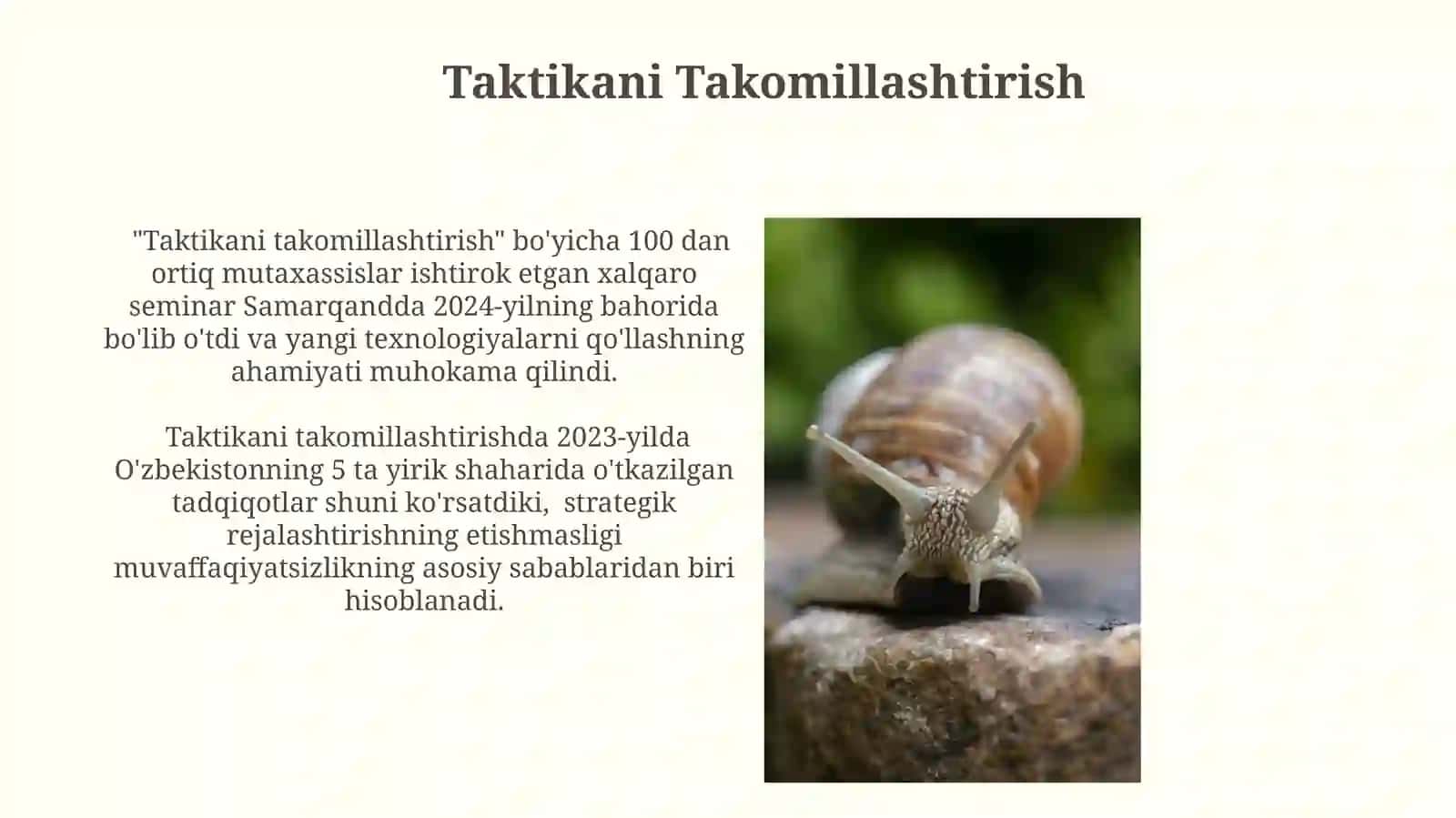 Nazokat va taktik amusmolari 4