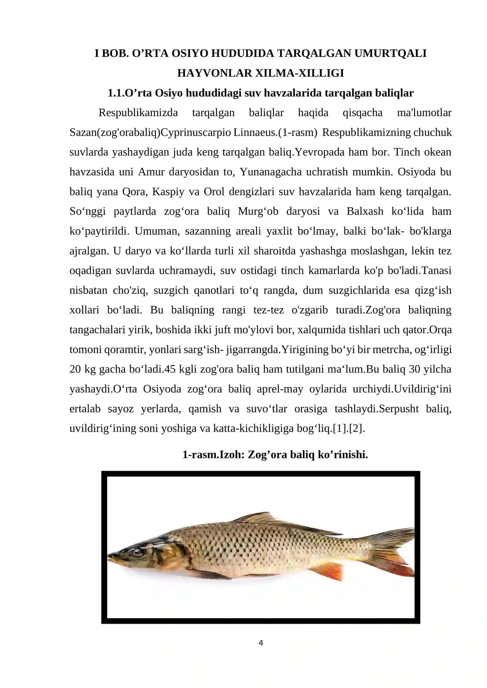 O‘rta Osiyo hududida tarqalgan umurtqali hayvonlar xilma-xilligi 4