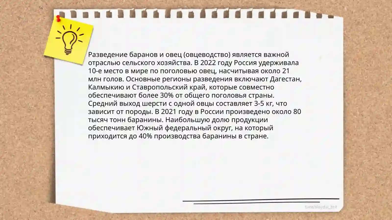 Животноводство стран Средней Азии 4