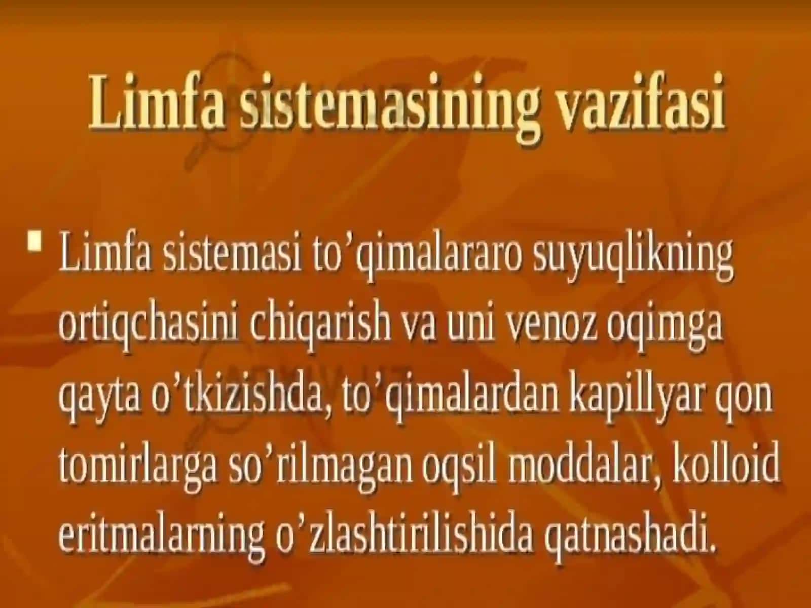 Venous System of the Human Body 4