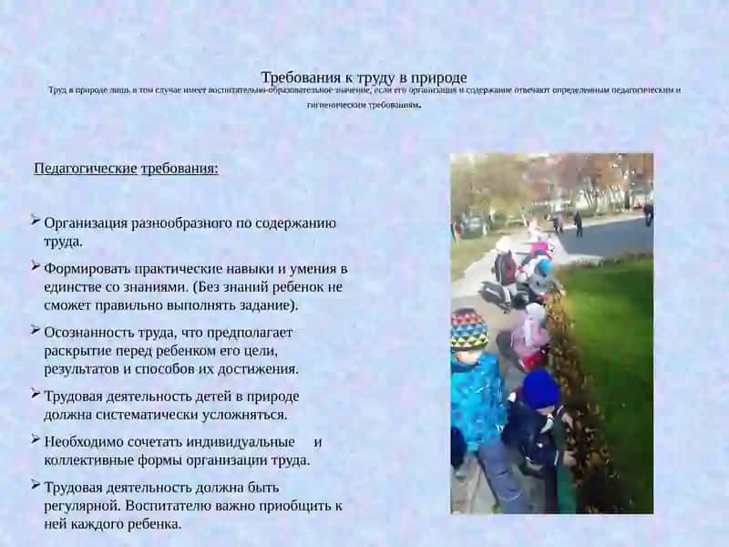 Труд в природе 4