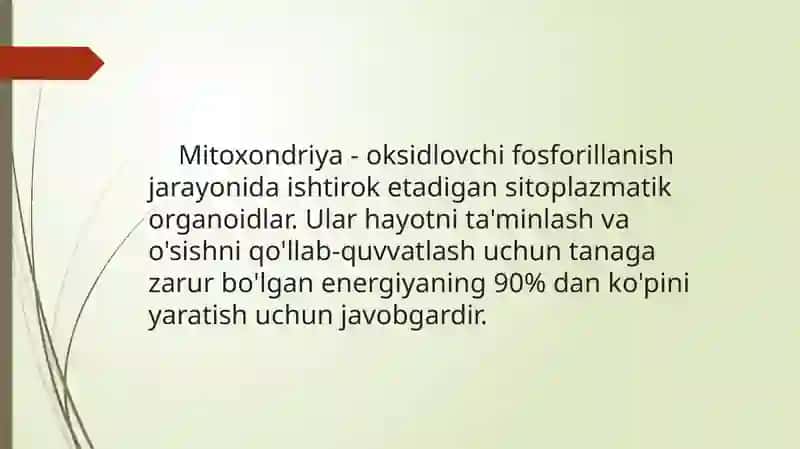 Mitoxondrial kasalliklar 4