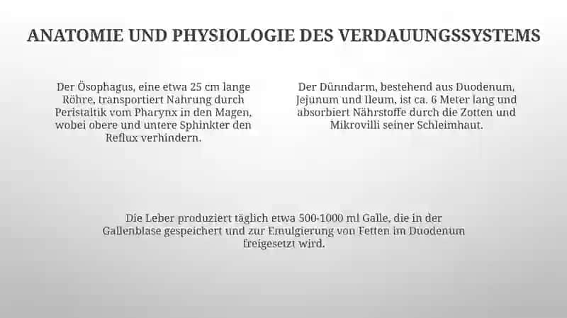 Fremdsprache in der Medizin 4