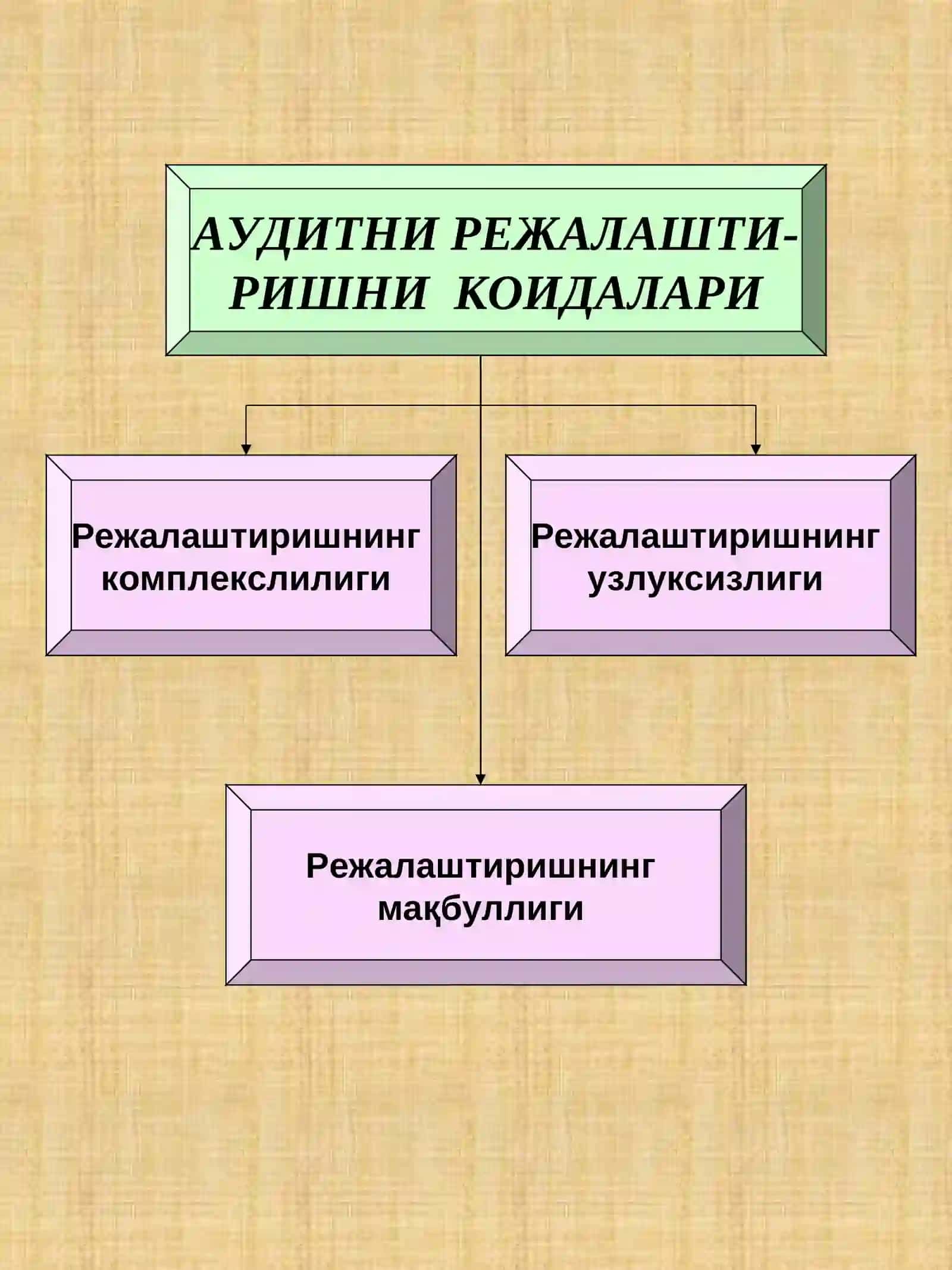 Аудиторлик Текширишни Режалаштириш 4