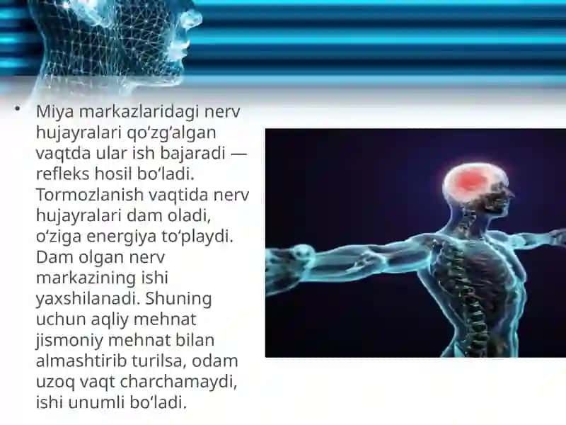 Markaziy nerv sistema tormozlanishi 4
