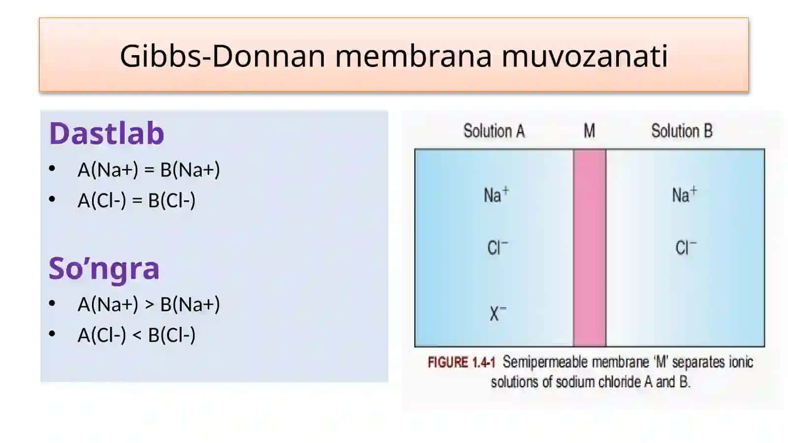 Fiziologiya 4
