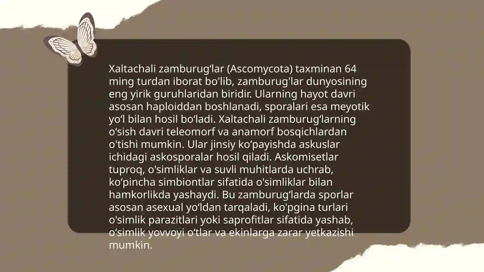 Xaltachali zamburugʻlar 4
