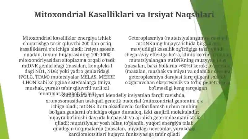 Sitoplazmatik irsiylanishning molekular asoslari 4