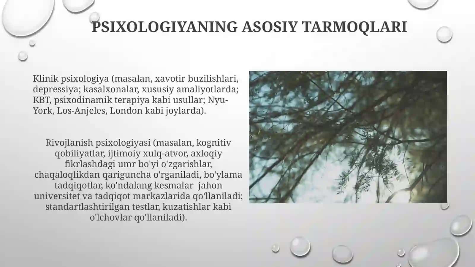 Psixologiyada Tarmoqlar va PsiXologkasbiy Faoliyati 4