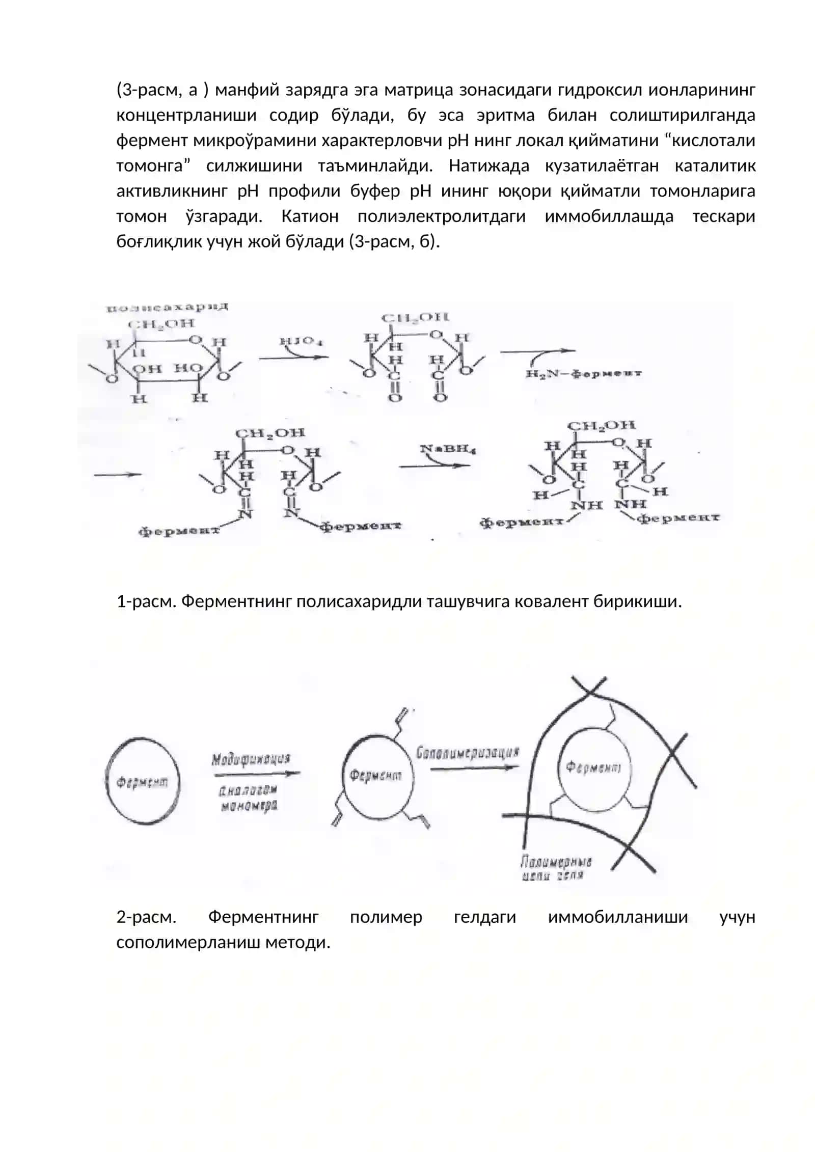 Иммобилланган ферментлар 4