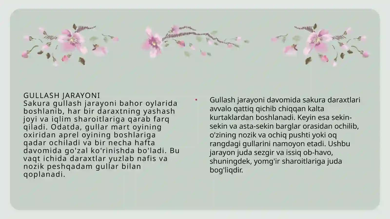 SAKURA GULLASH MAVSUMI 4