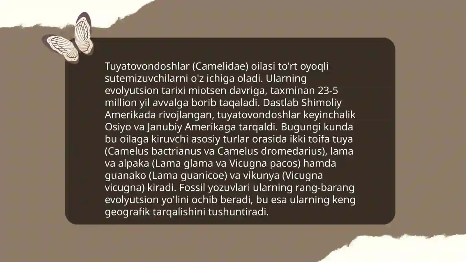 Tuyatovondoshlar oilasi 4