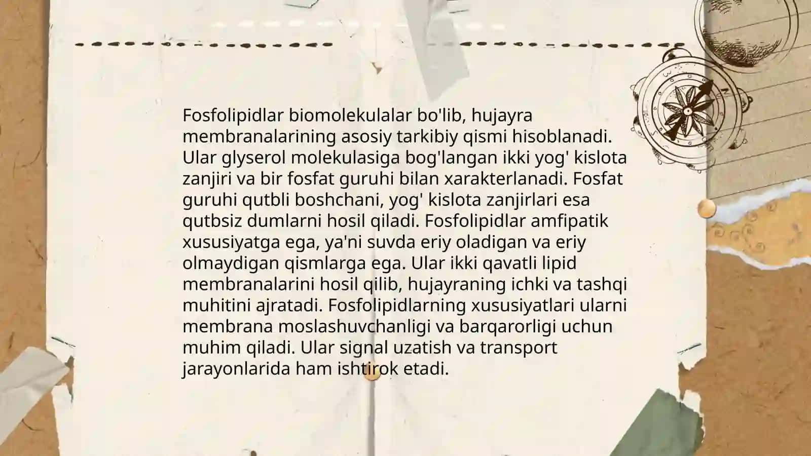 Biologik membrananing molekulyar tuzilishi 4