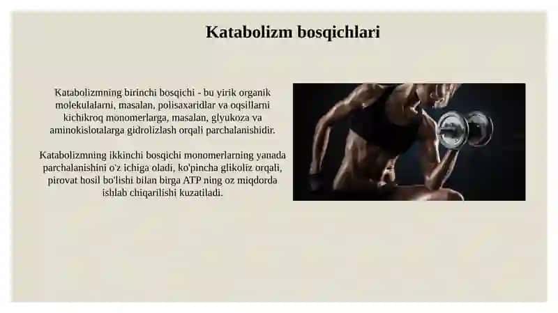 Katabolizm va anabolizm 4