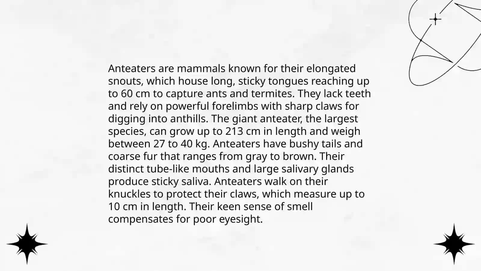 Anteater 4