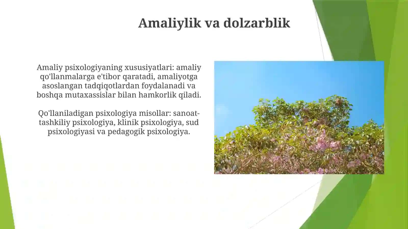 Amaliypisixologningxususiyatlari 4