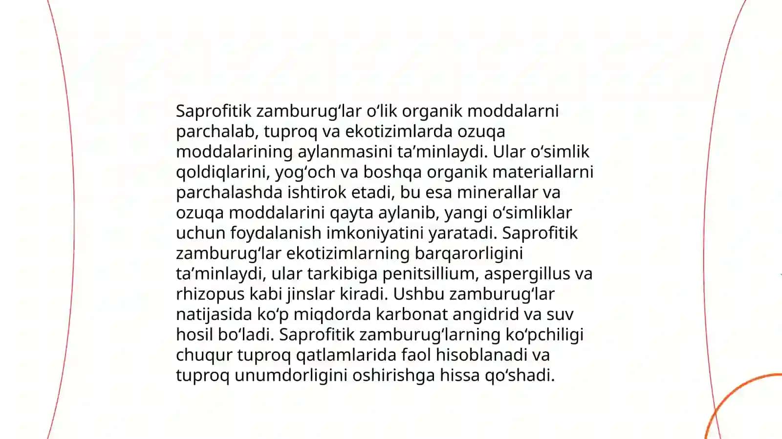 Zamburugʻlar 4