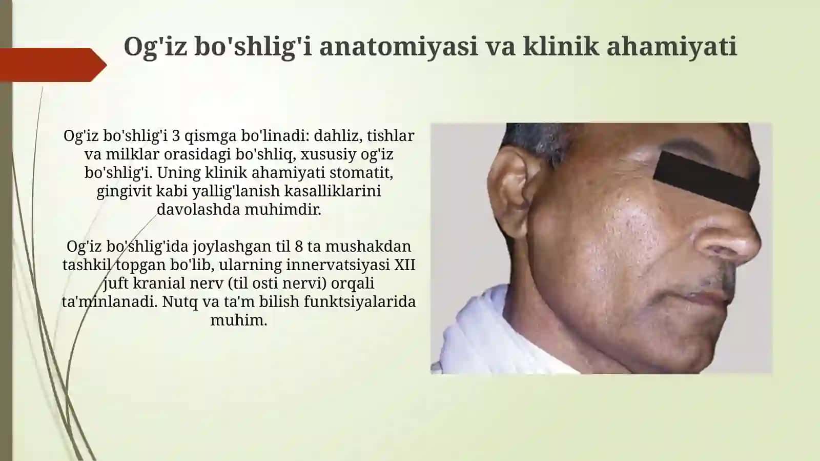 Yanoq sohasi anatomiyasi va klinik ahamiyati 4