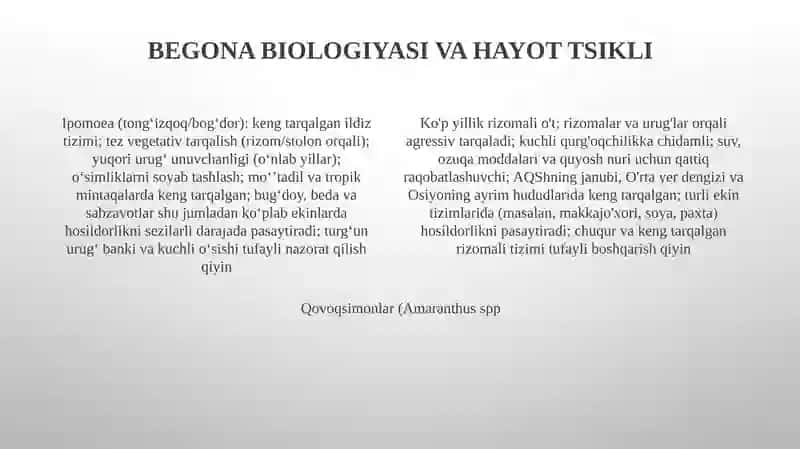 Begona O'tlarni Aniqlash 4