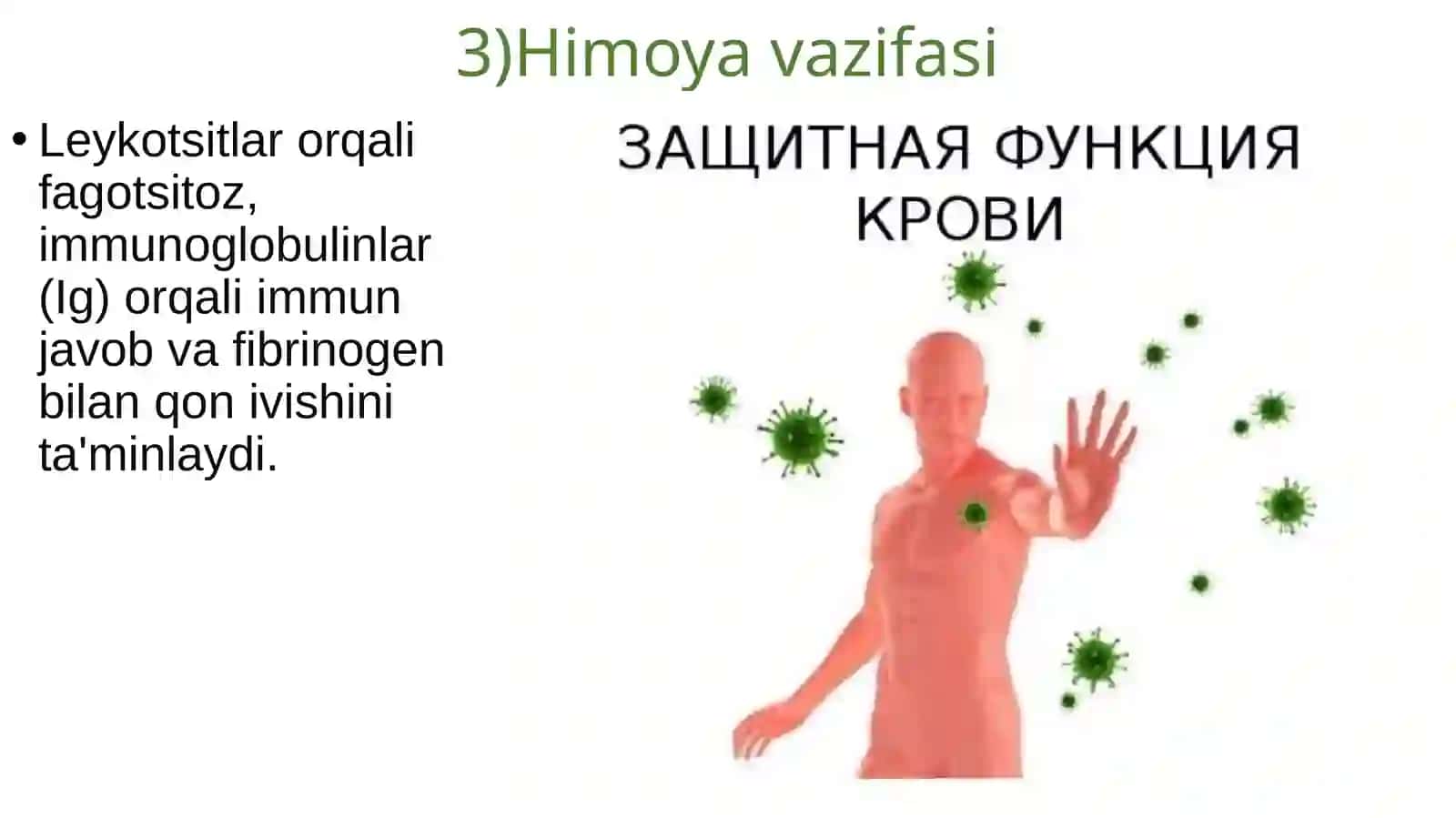 QON BIOKIMYOSI 4