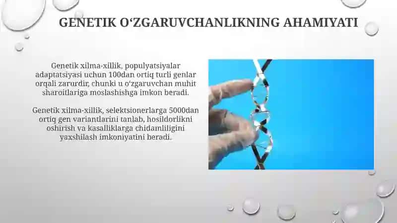 Genetik oʻzgaruvchanlik 4