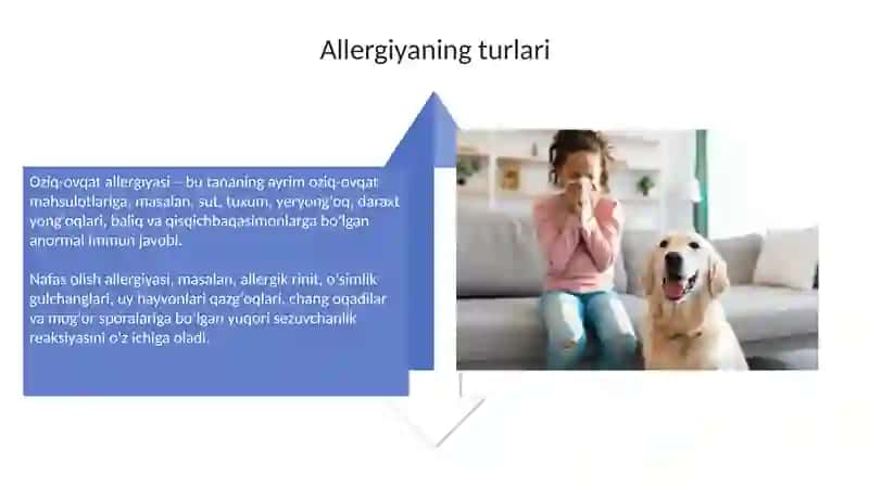 Allergiya 4
