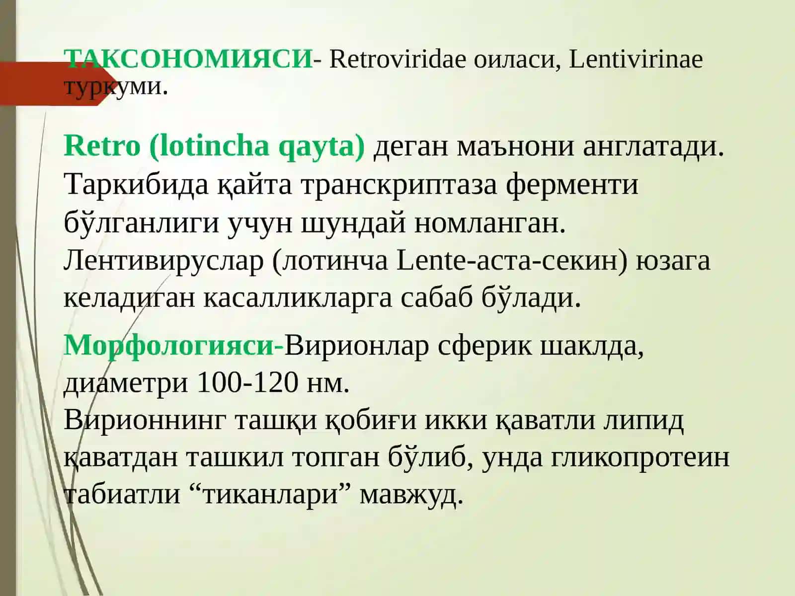 ОИВ ва ОИТС вируслари 4
