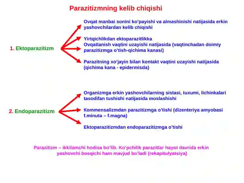 Tibbiy parazitologiya fani 4
