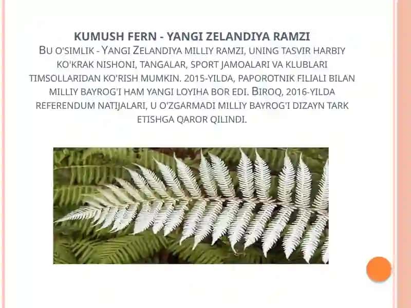 Yangi Zellandiya 4
