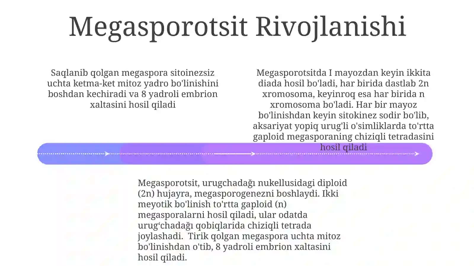 Megasporagenez 4