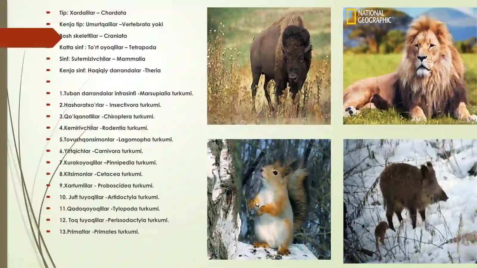 Sutemizuvchilarning umumiy tavsifi 4