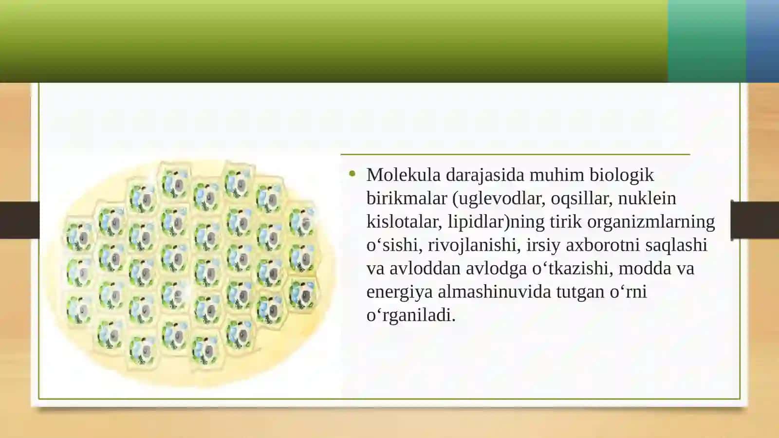 Hayotning molekula darajasi 4