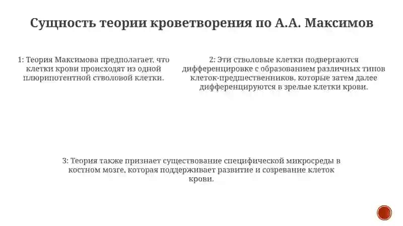 Теории Кроветворения 4