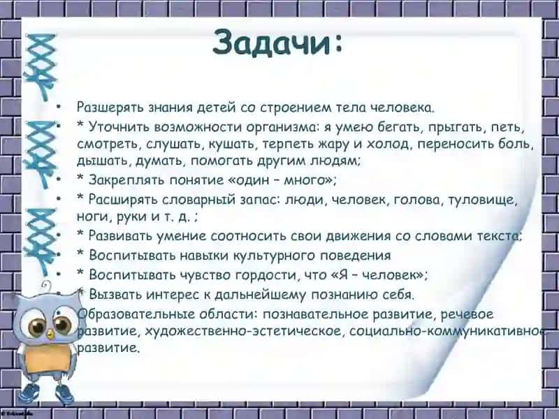 Я и моё тело 4