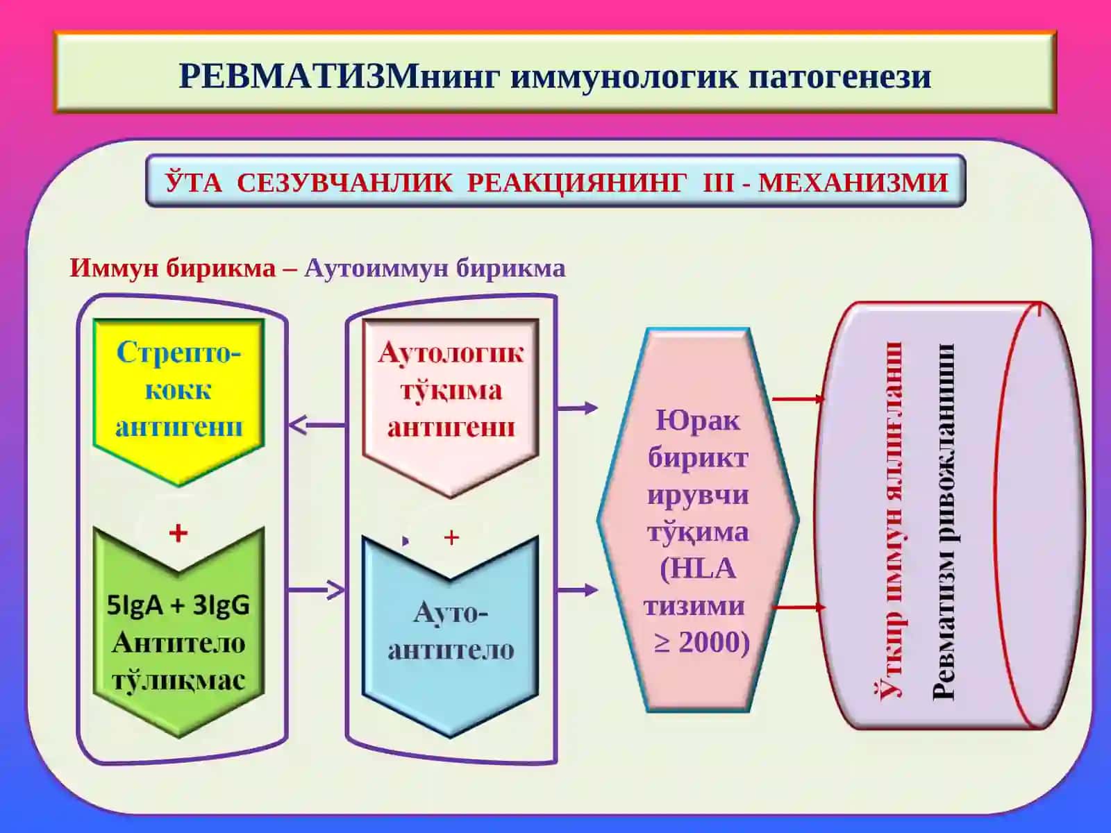 Патологик Анатомия 4