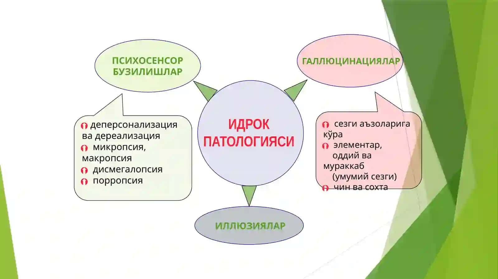 Идрок ва сезги патологияси 4