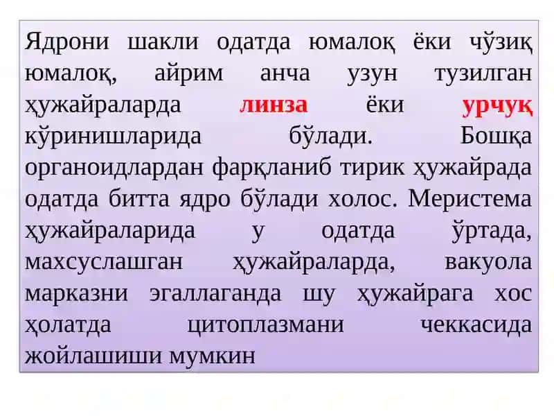 Ядро ва унинг тузилиши 4