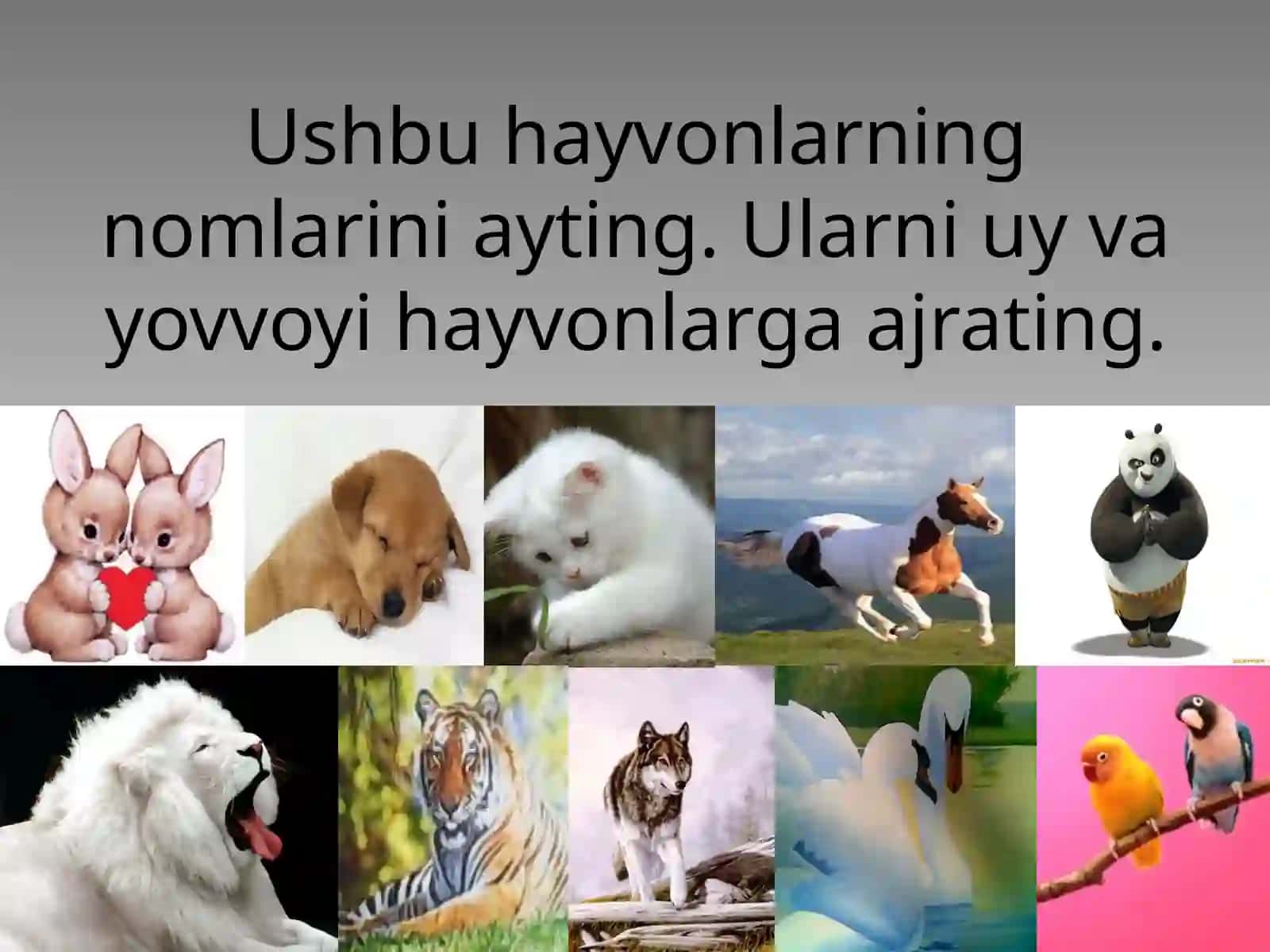 Ona tili kitobining tuzilishi 4