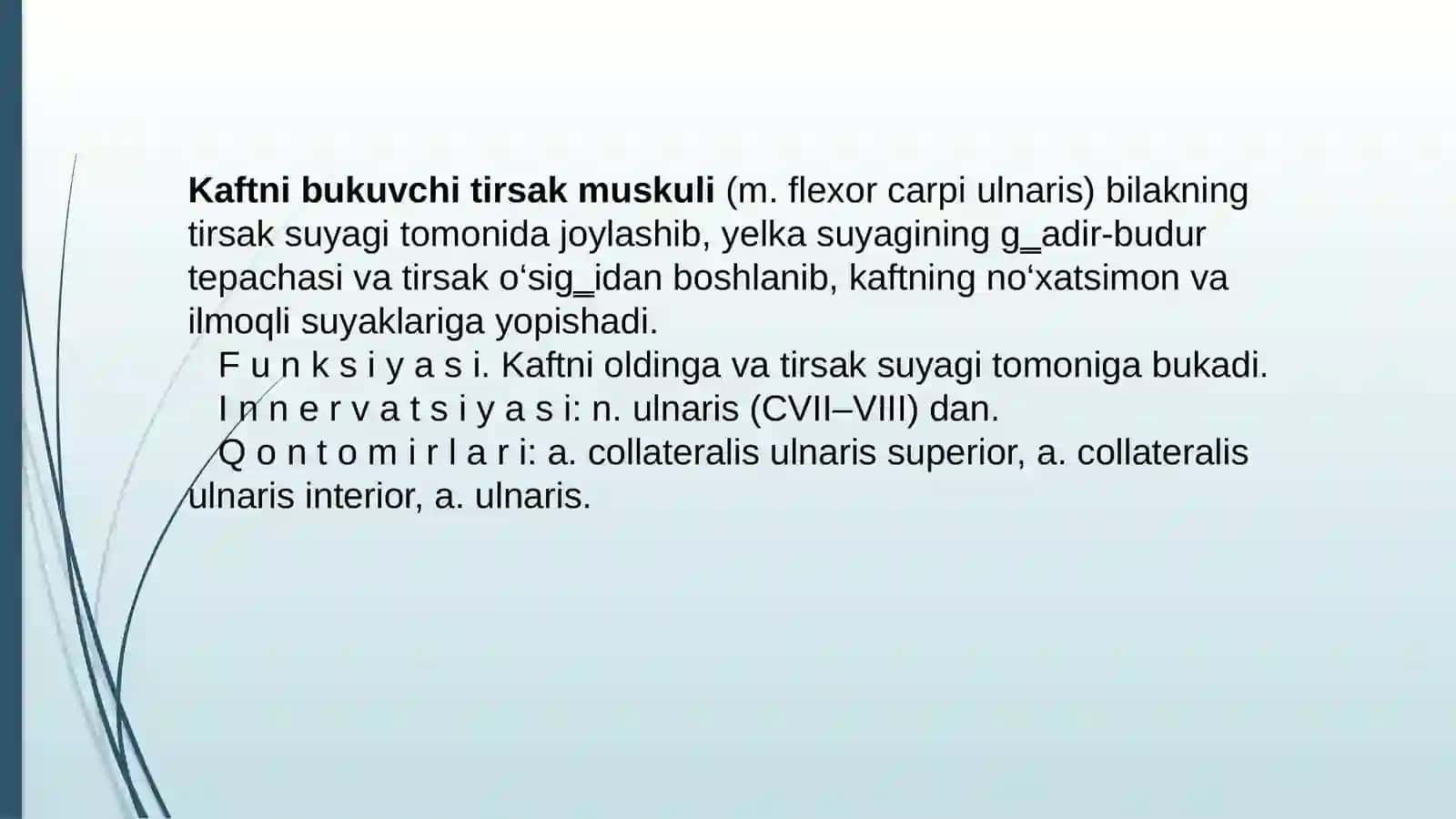 QO’LNING KAFT VA PANJA SOHASI ANATOMIYASI 4