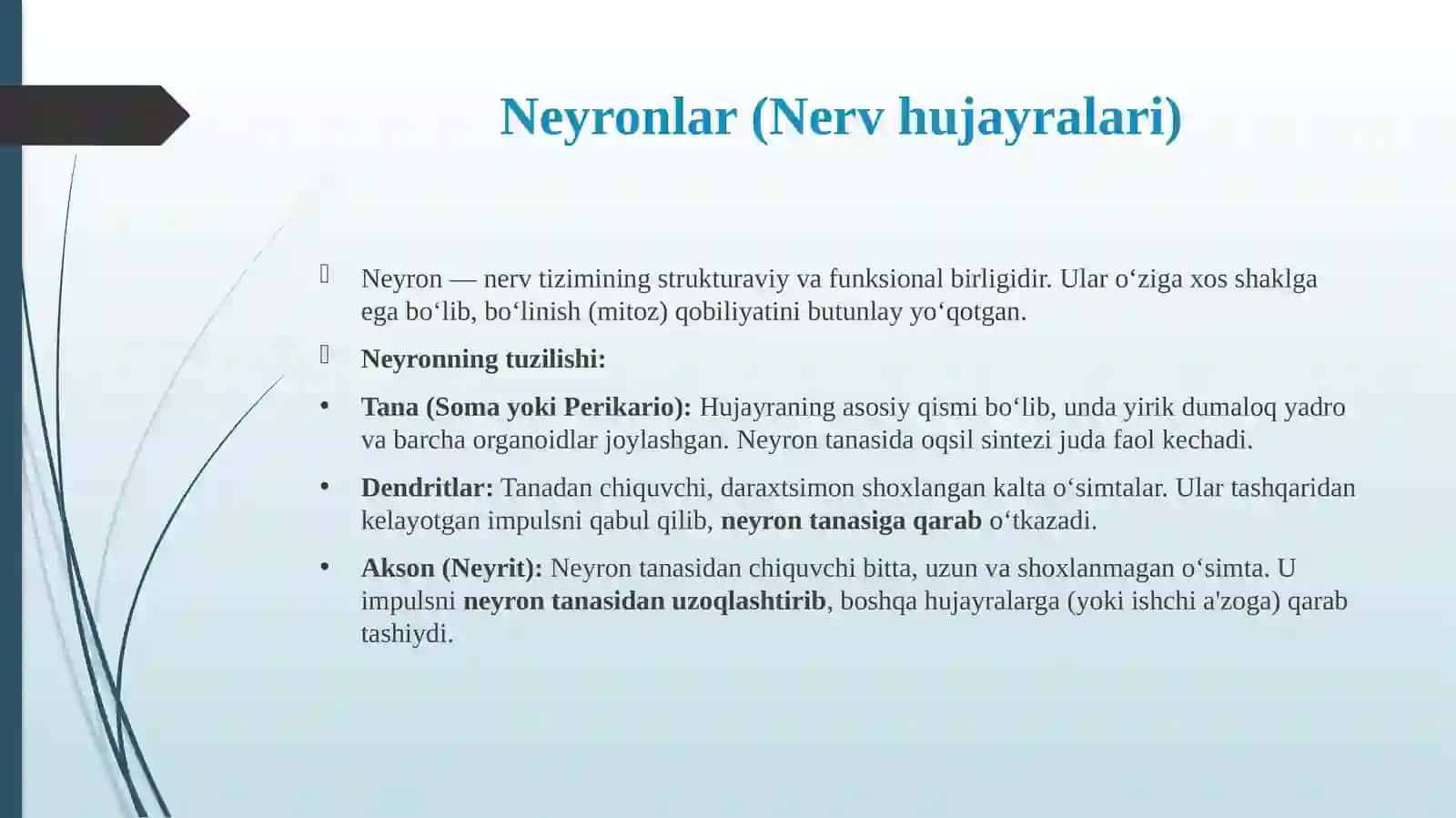 Nerv to'qimasi 4