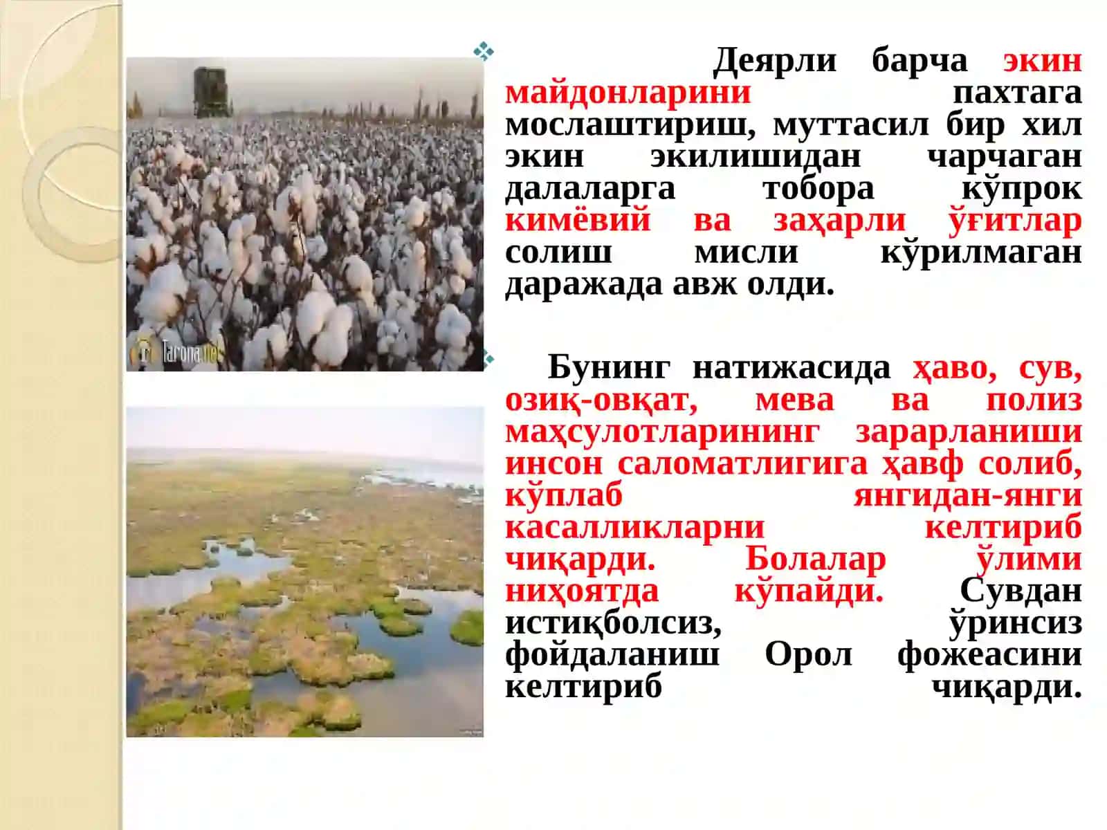 Фуқаролик жамияти 4