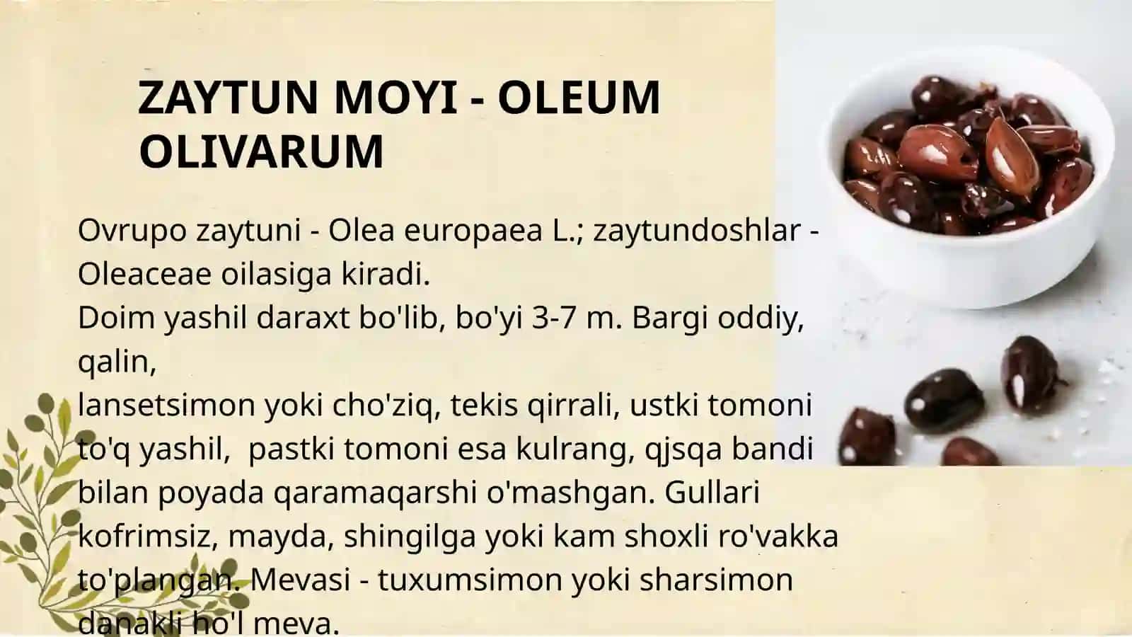 YOG'LARNING TIBBIYOT VA 4
