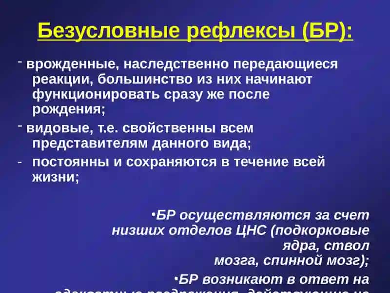 ВЫСШАЯ НЕРВНАЯ ДЕЯТЕЛЬНОСТЬ. РЕФЛЕКСЫ ЧЕЛОВЕКА 4